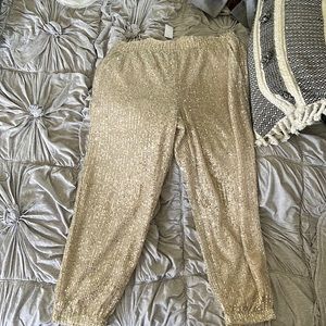 Woman’s Loft Sequence Pants